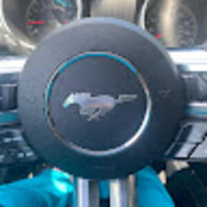 Meet your Posher, Tabitha